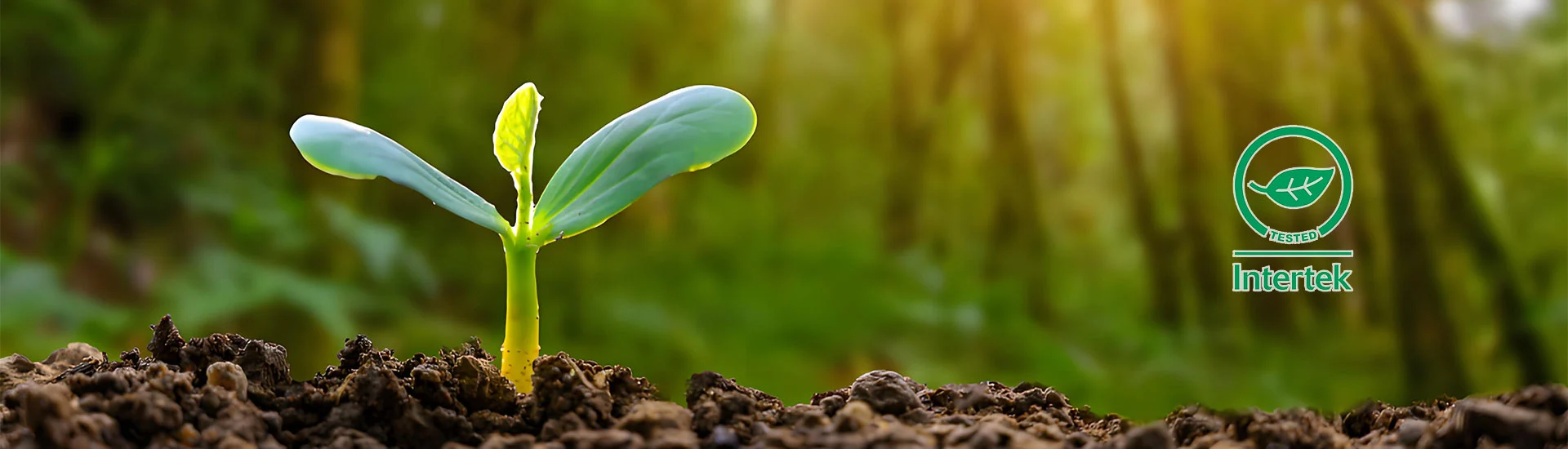 Nosso tecido solar de bio-degradação