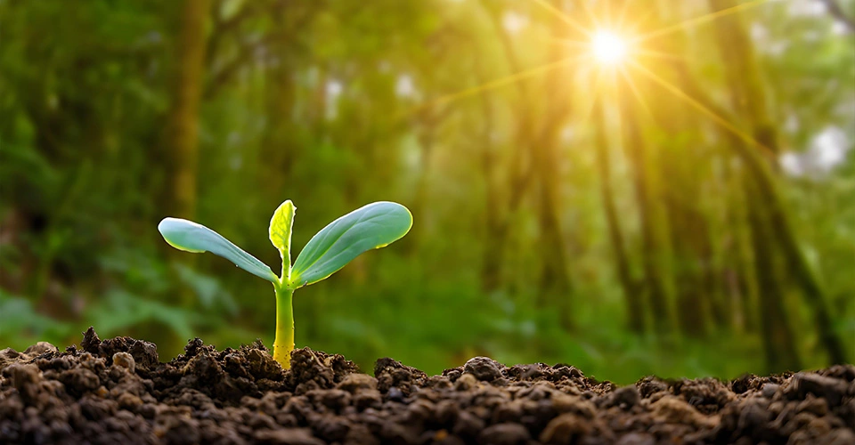 Nosso tecido solar de bio-degradação